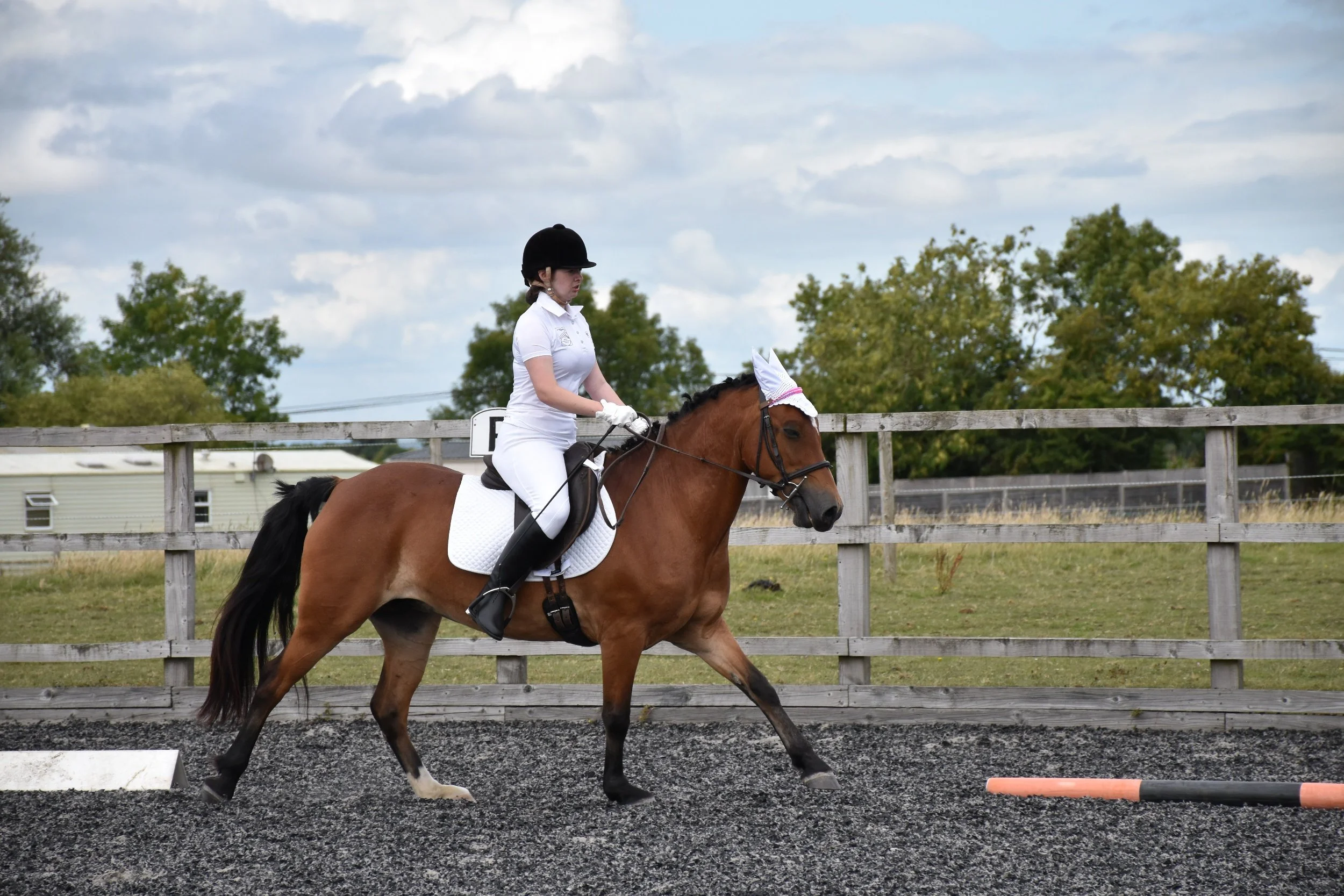 Times for Saturday 13th July dressage