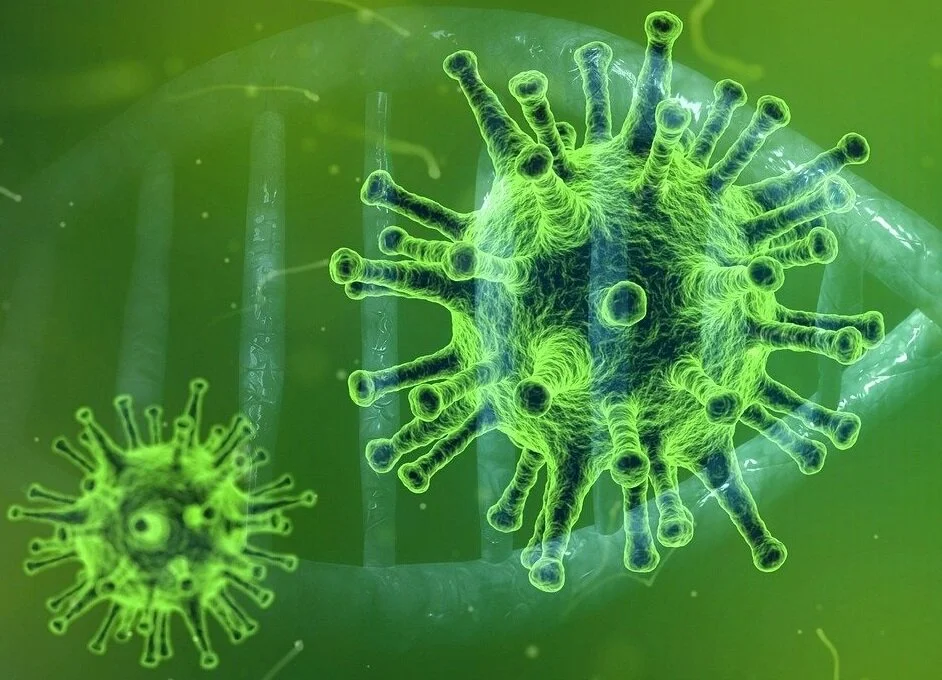 How ECS Healthwatch is Adapting to Deliver its Services During the Coronavirus Pandemic