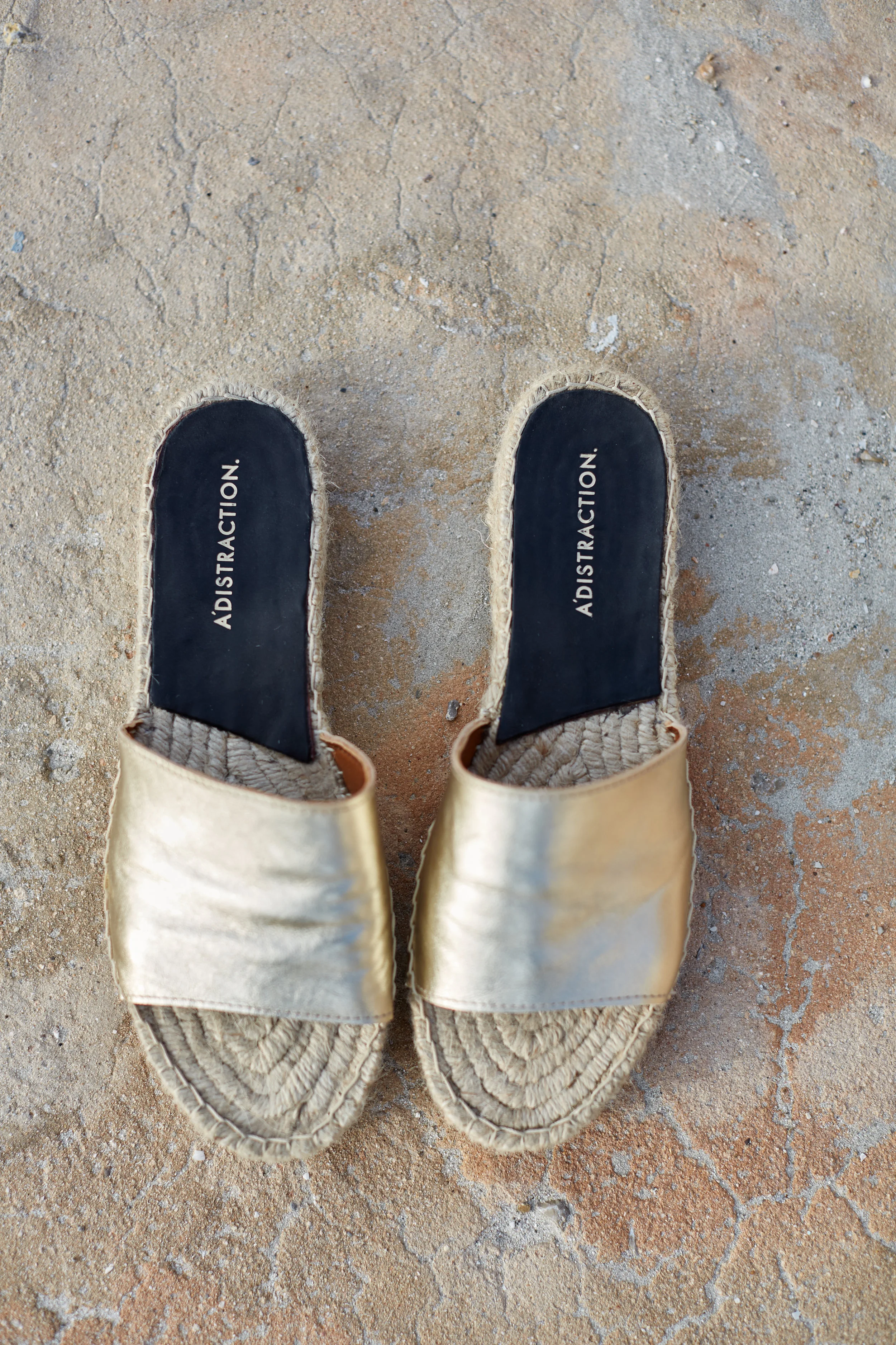 7A4E553F-EB85-485F-B576-DDD49D15AEF6