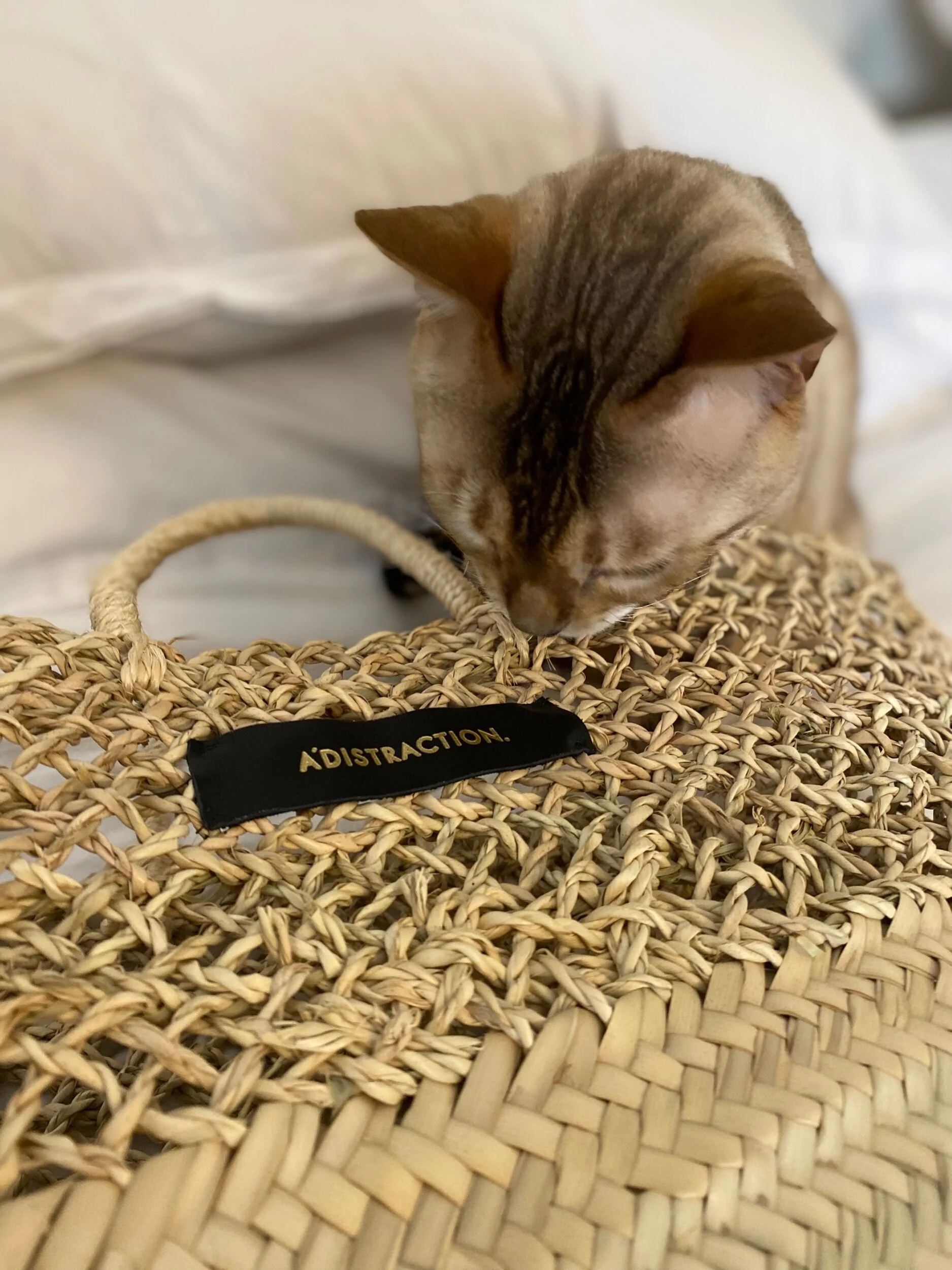 2BD3CF8F-9324-4158-ACD1-F3FA14975D1D