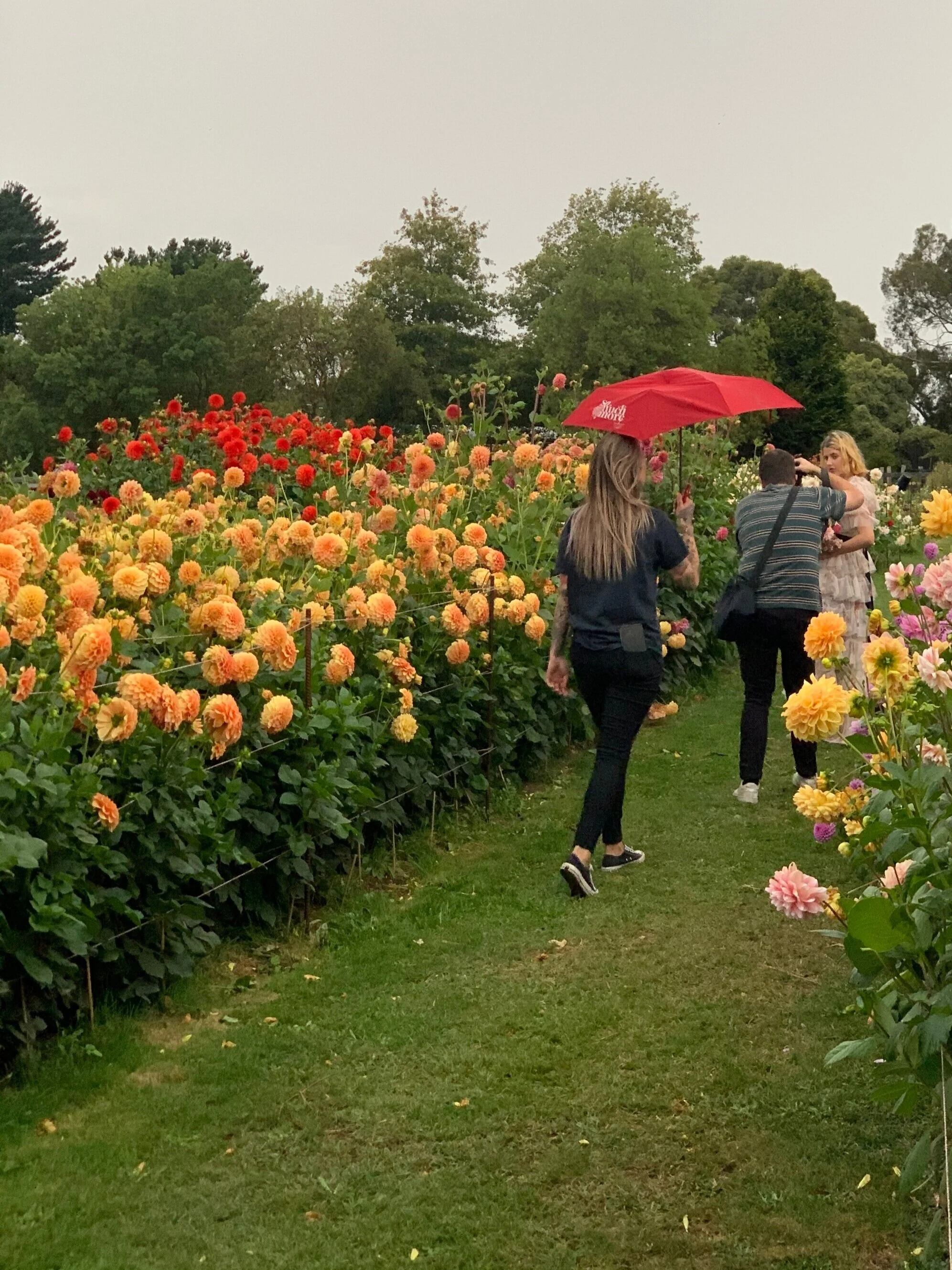 5A39D2E0-FBED-475A-9F37-65BE789AFC82