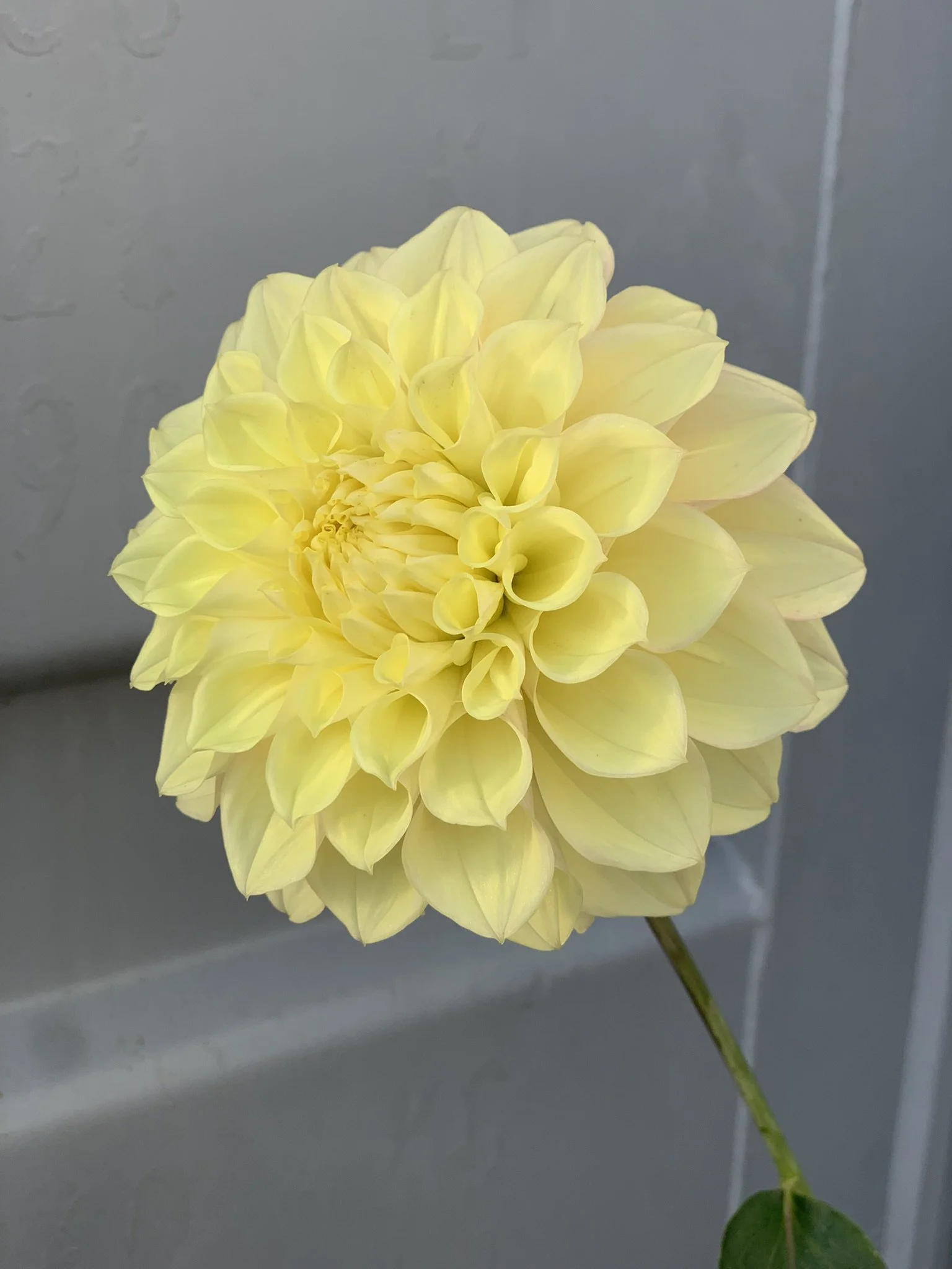 Sugartwon Sunrise.JPEG