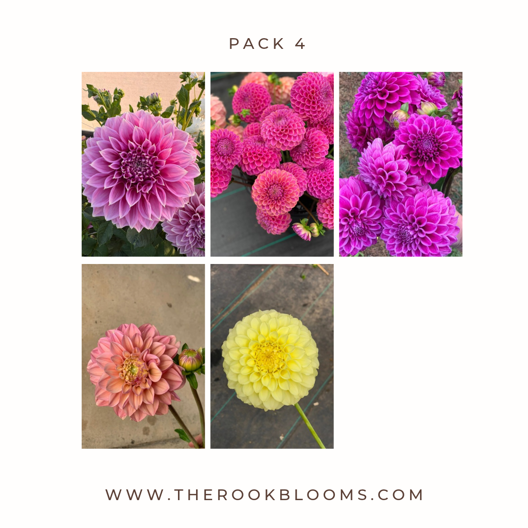 Copy of white pack (3).png