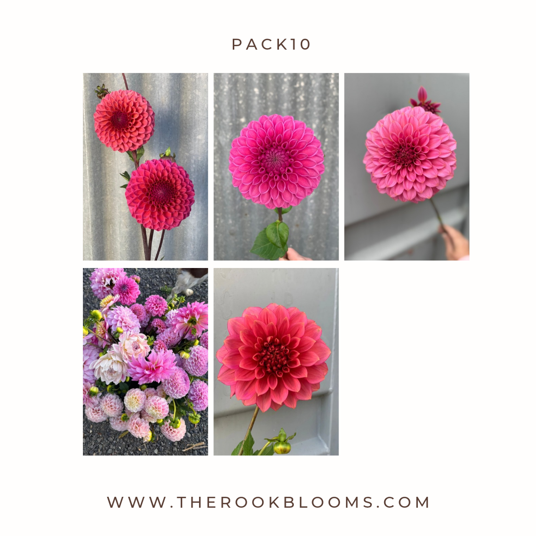 Copy of white pack (11).png