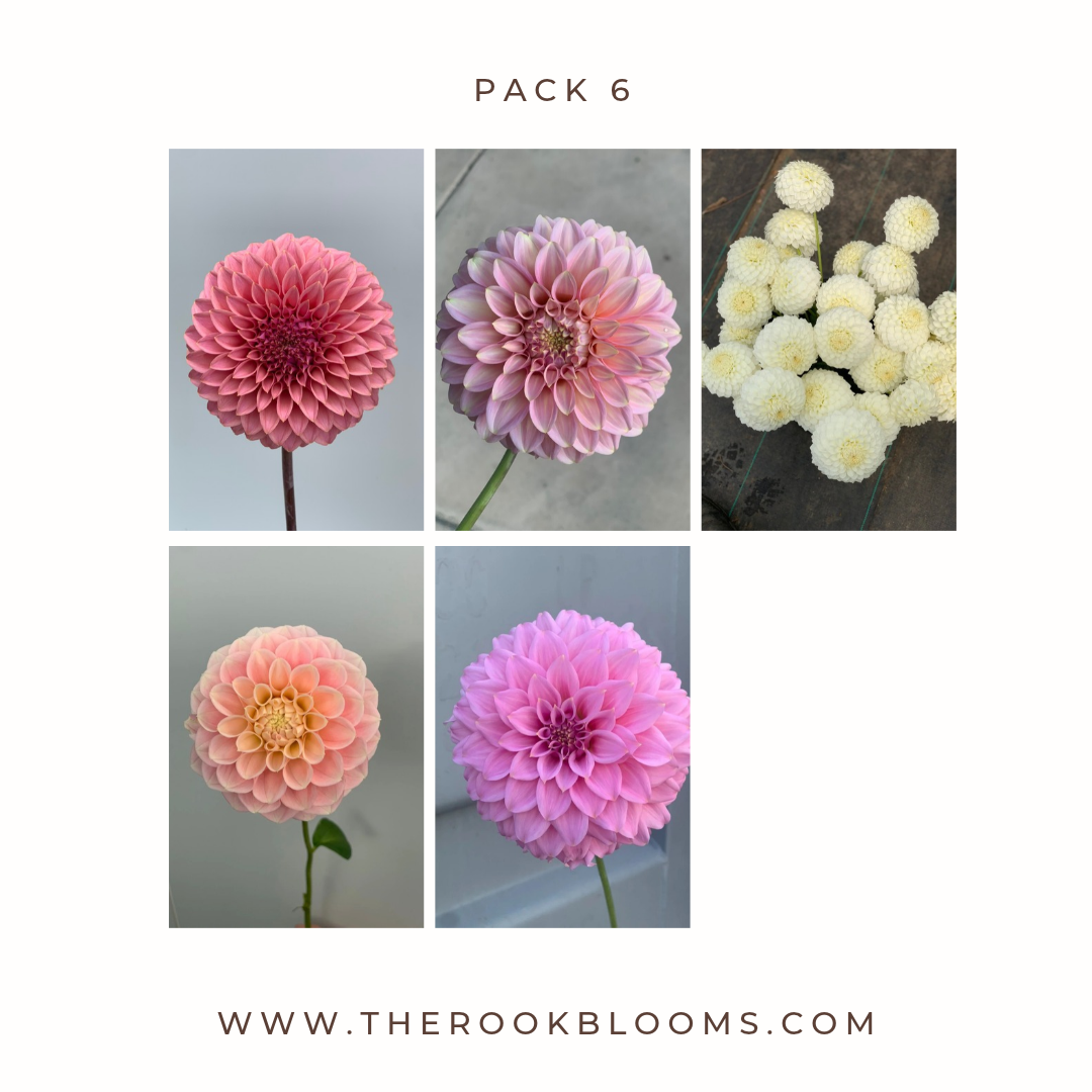 Copy of white pack (7).png