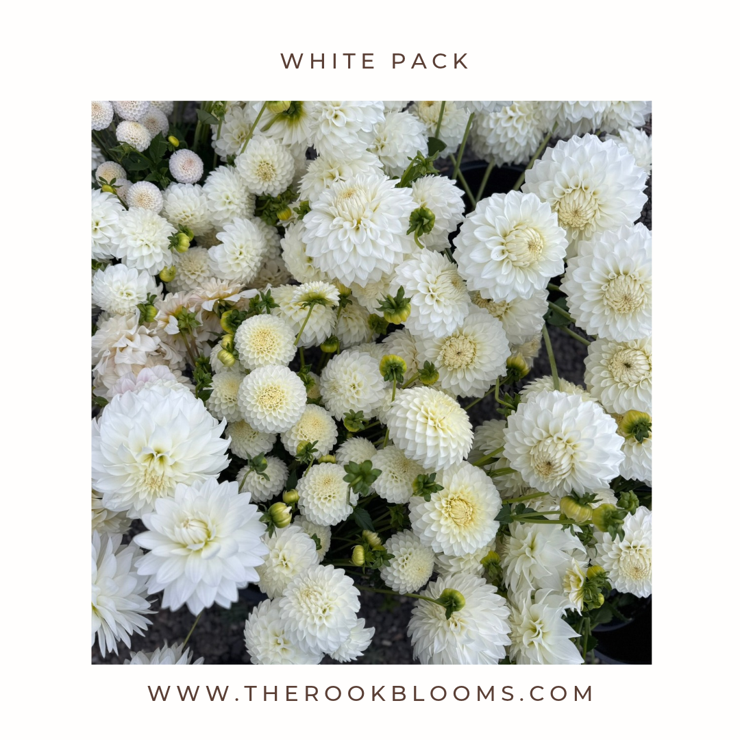 white pack.png
