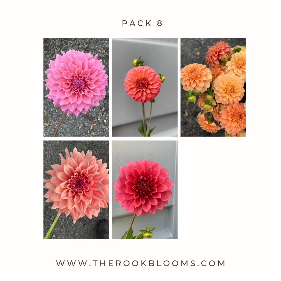 Copy of white pack (9).png