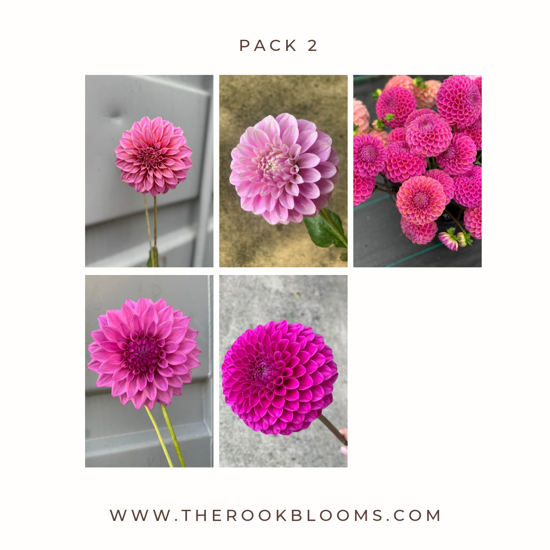 Copy of white pack (6).png