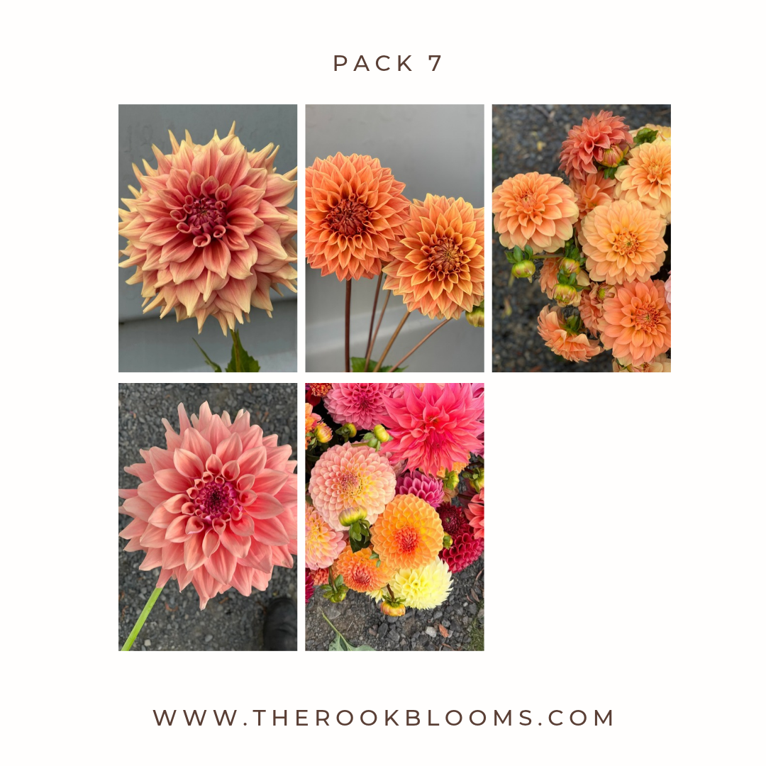 Copy of white pack (8).png