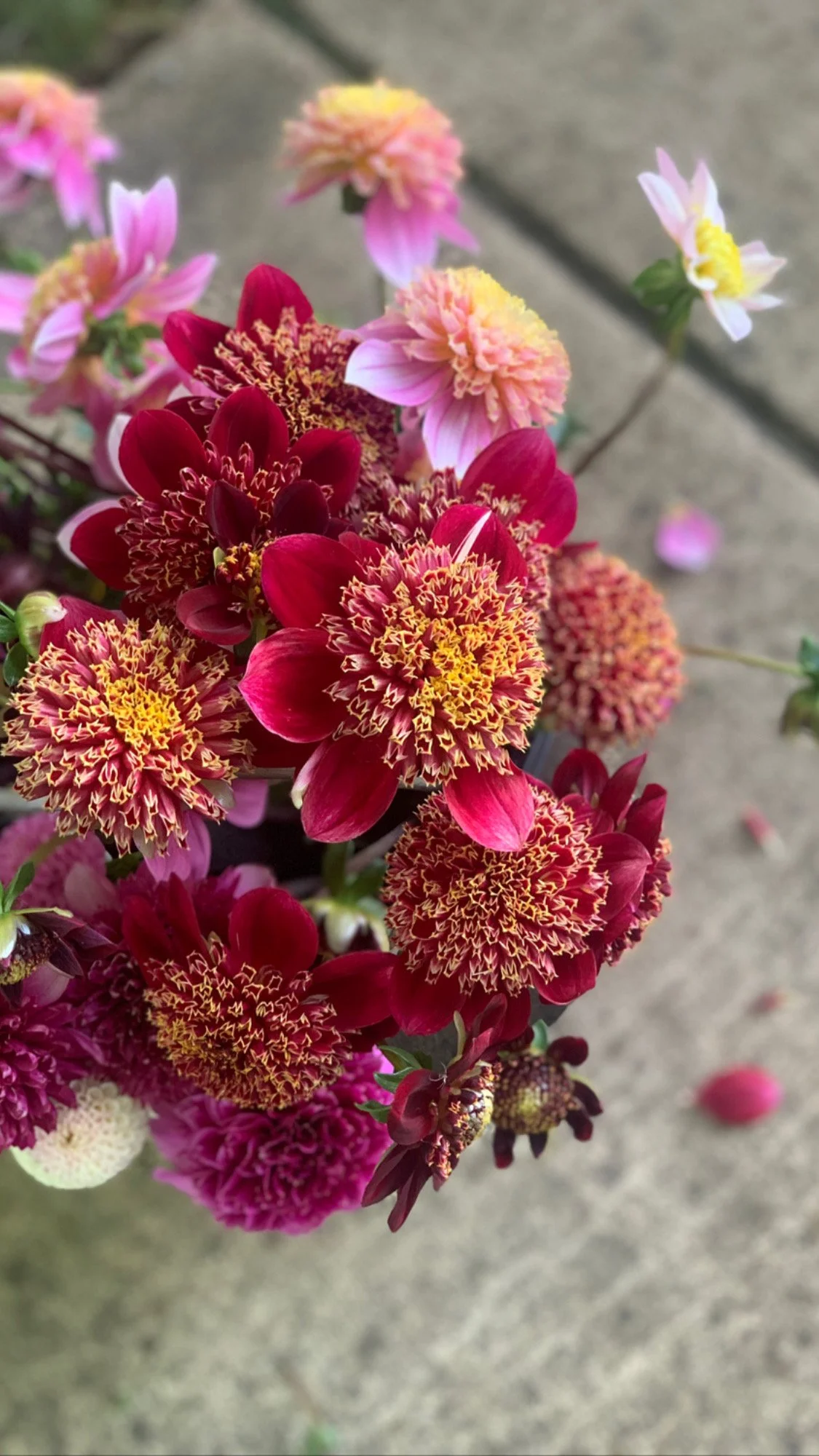 Granite Queen Bee - QTY Limit