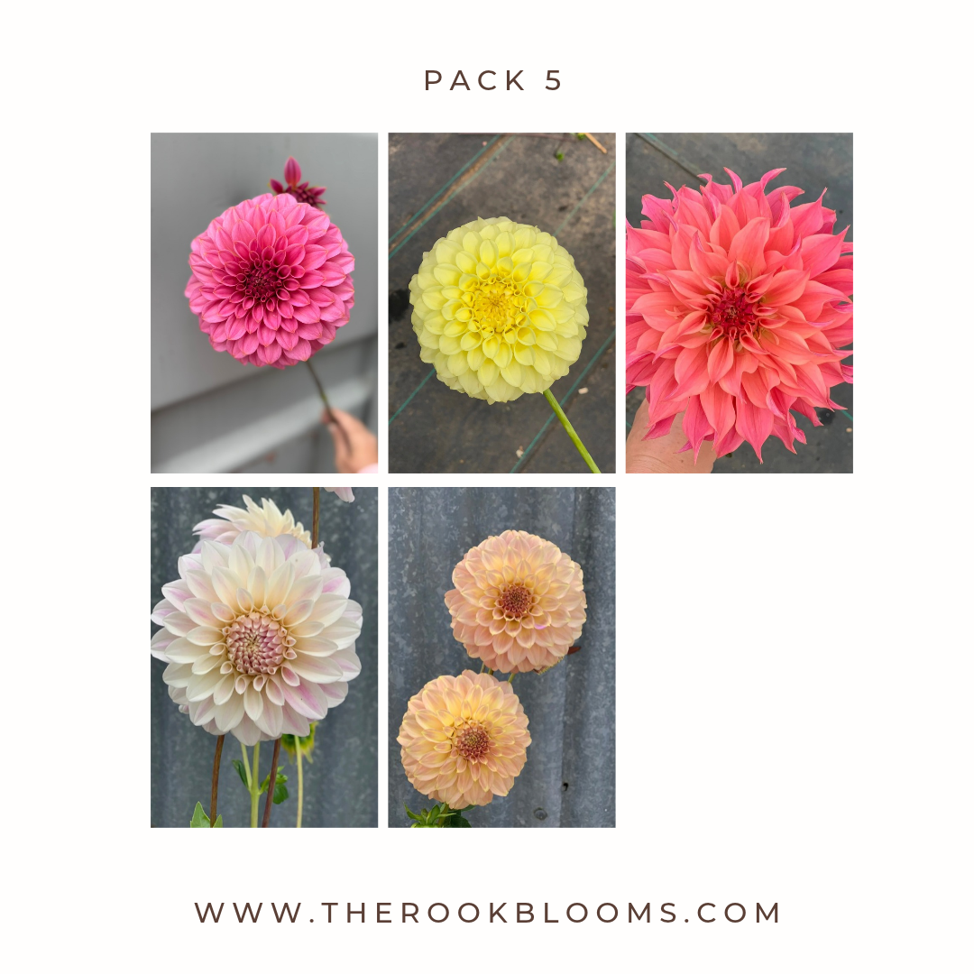 Copy of white pack (5).png