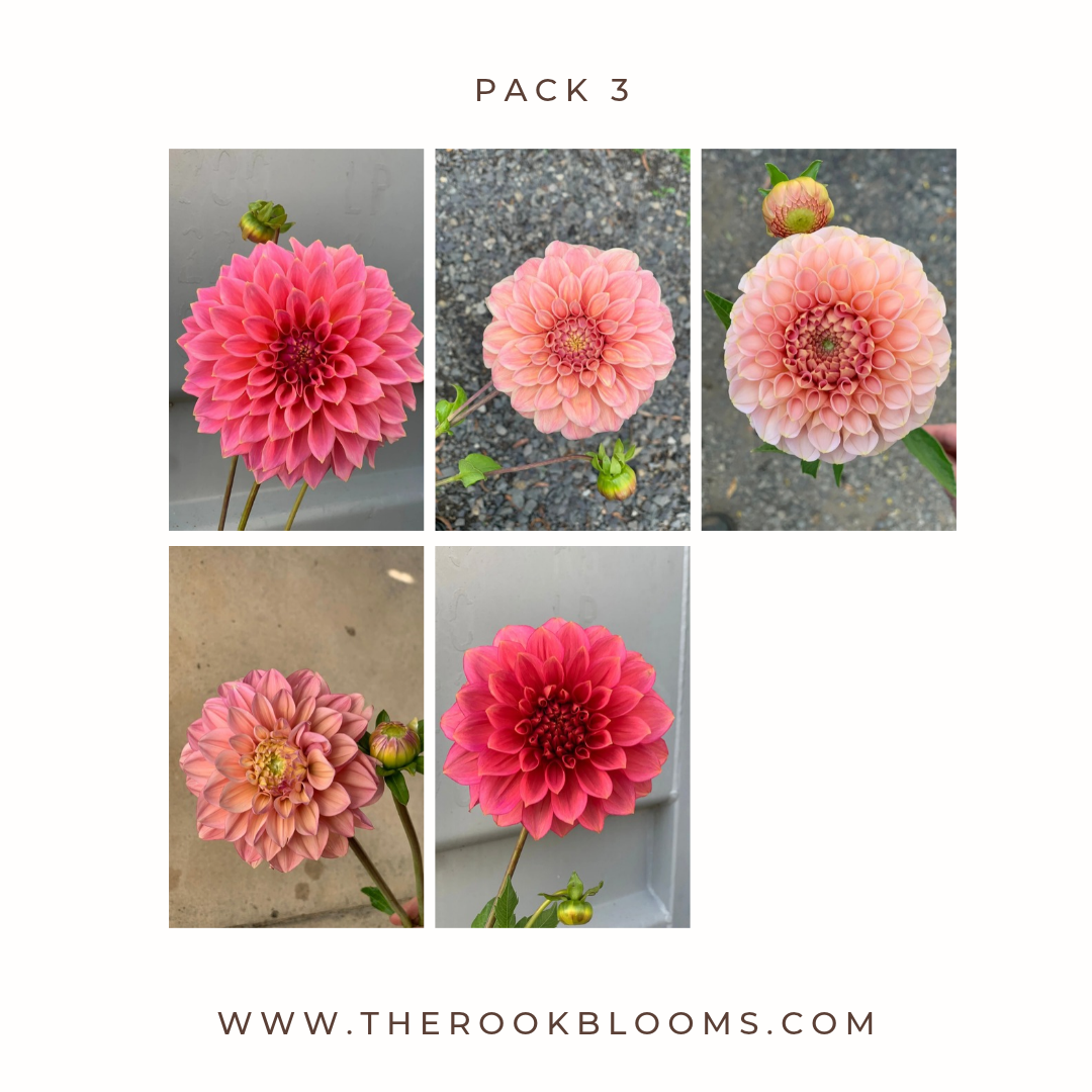 Copy of white pack (2).png