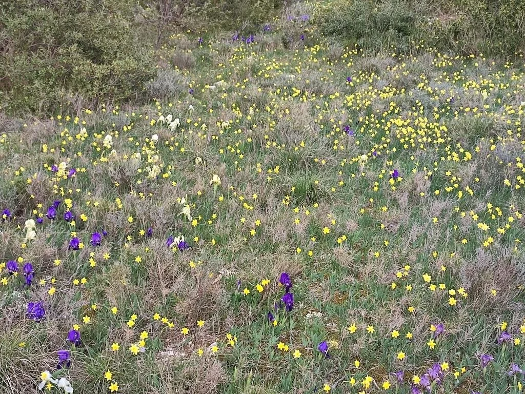 Témoignage de François : Leucémie Lymphoïde Chronique