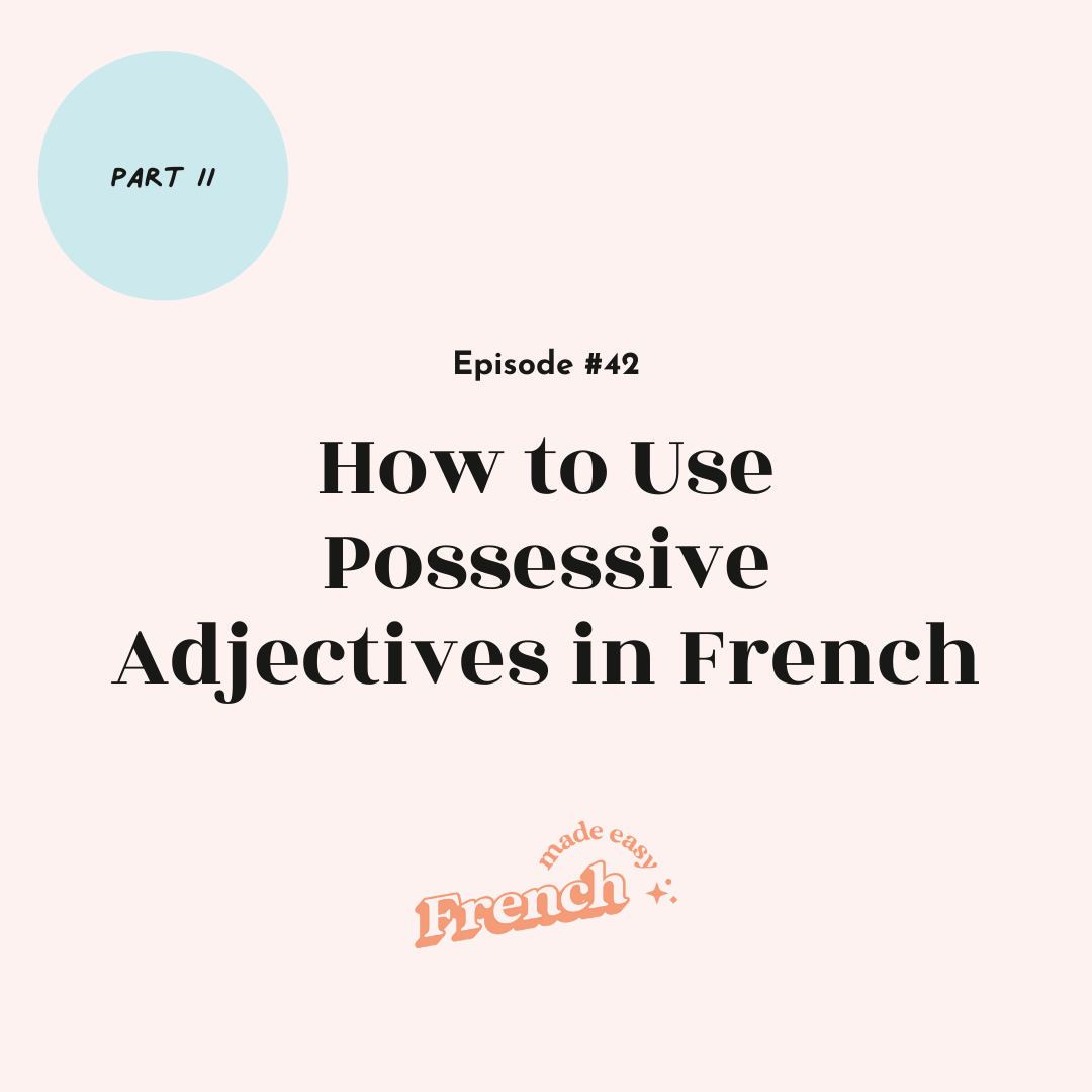 42 - How to Use Possessive Adjectives in French (Part II) 