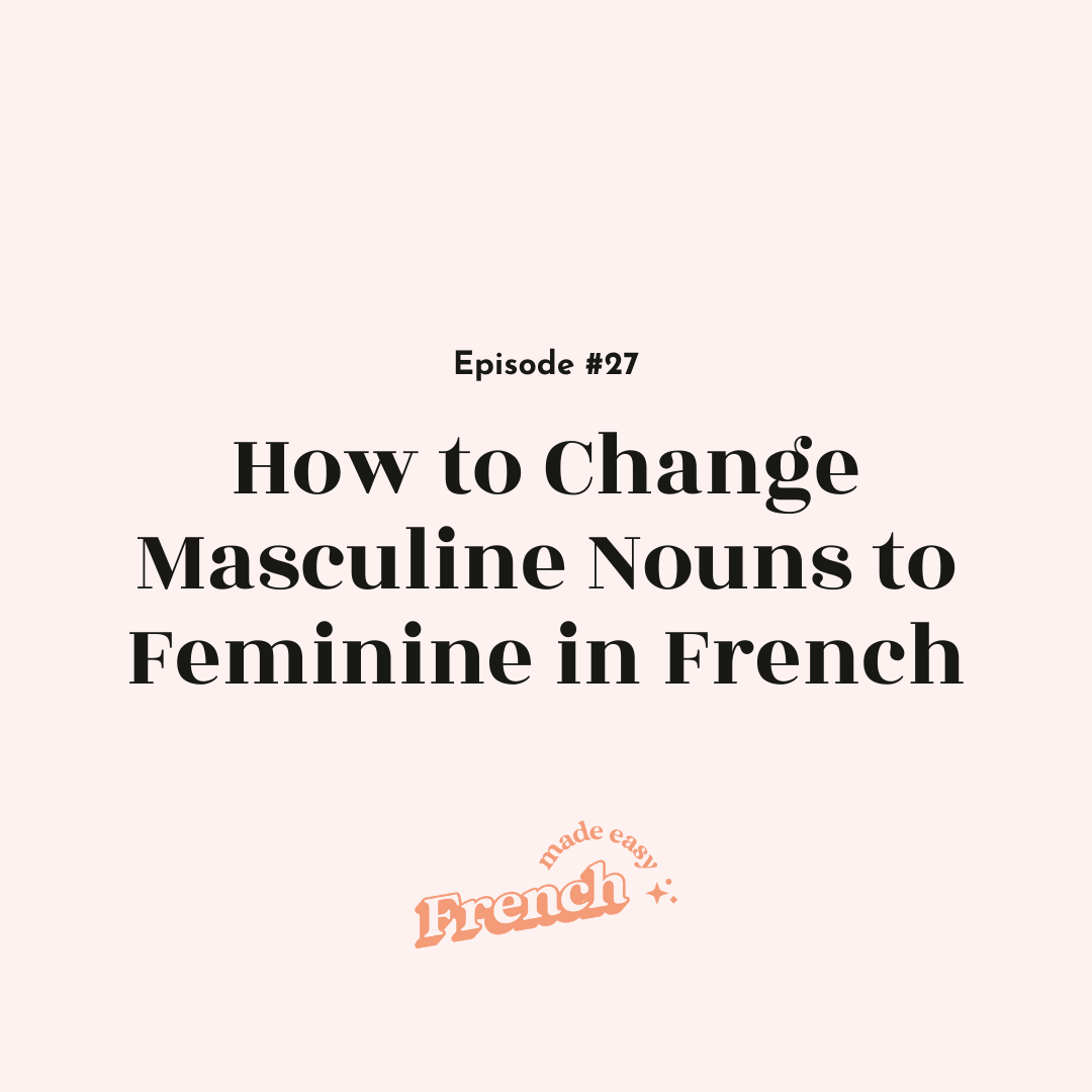 27 - How to Change Masculine Nouns to Feminine in French (Q&amp;A)