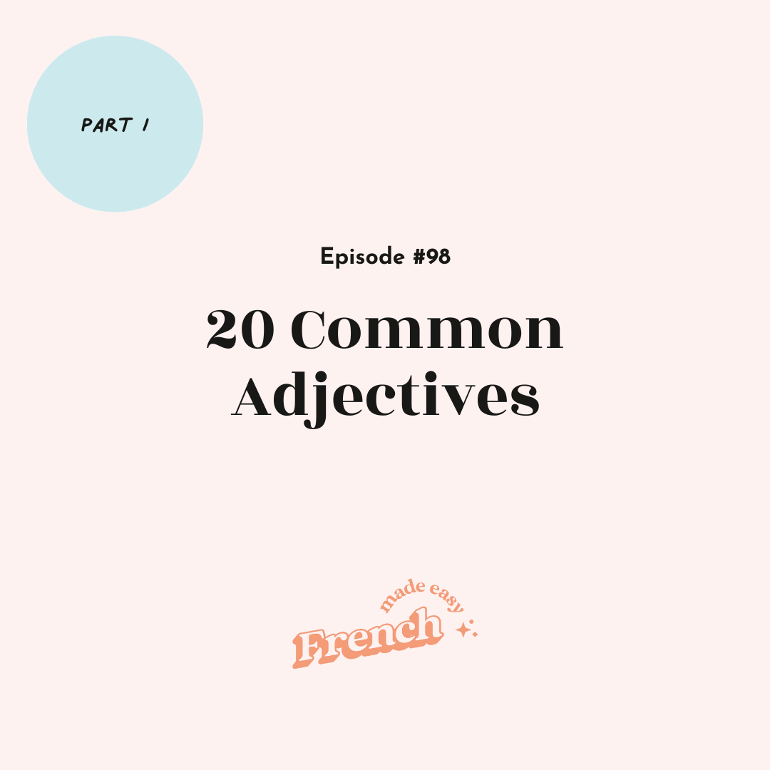 98 - 20 Common French Adjectives (Part I) 