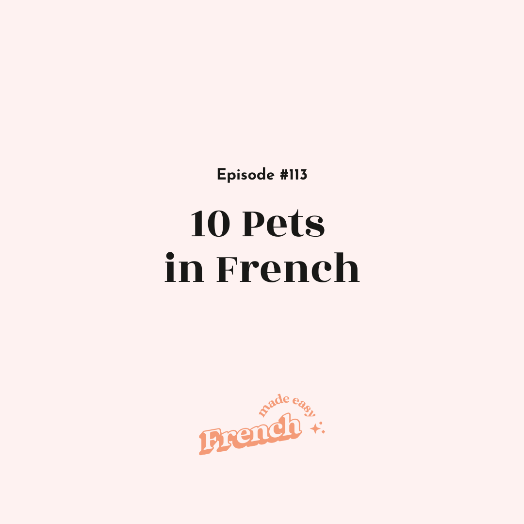 113 - 10 Pets in French
