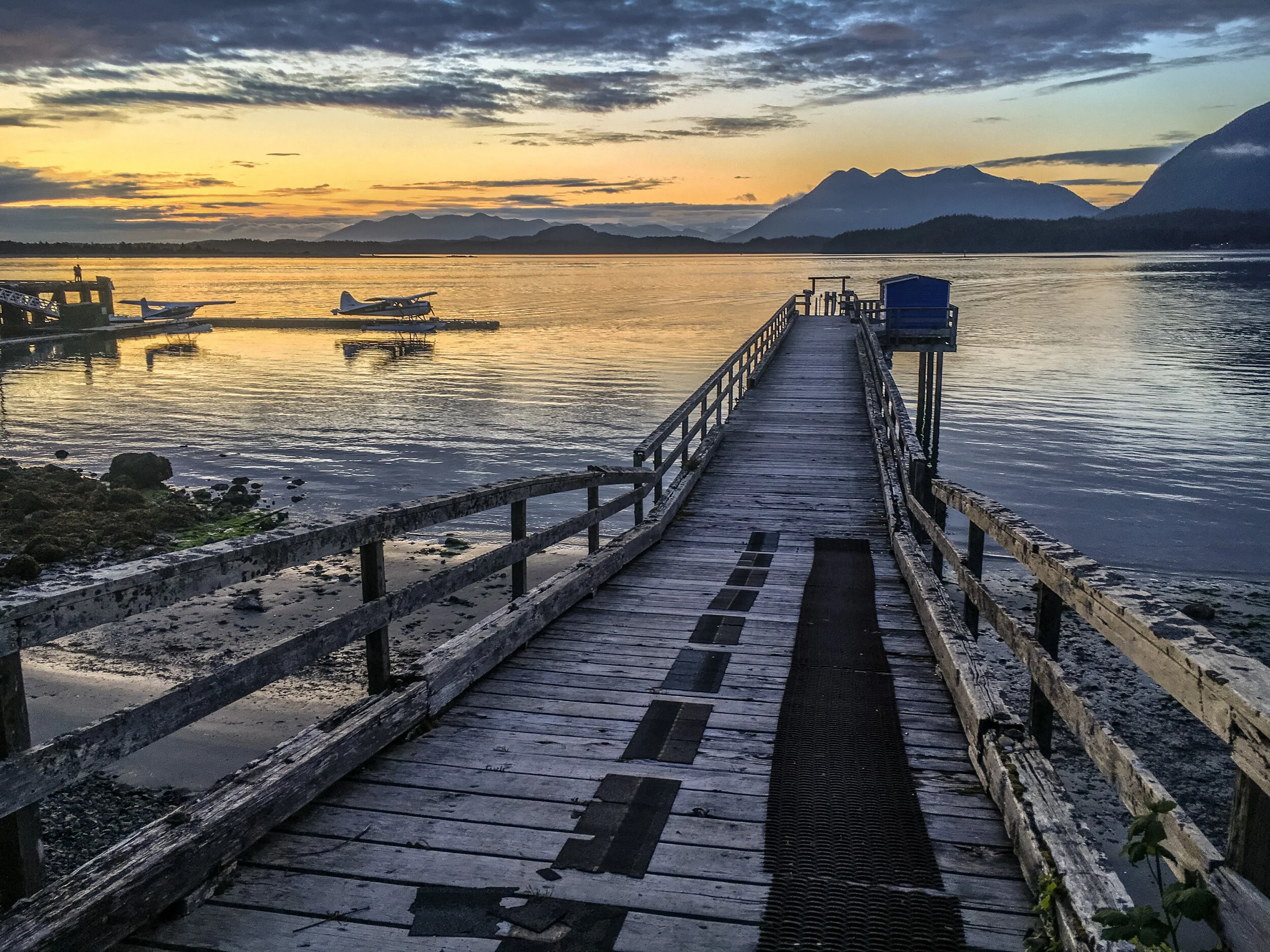 Tofino