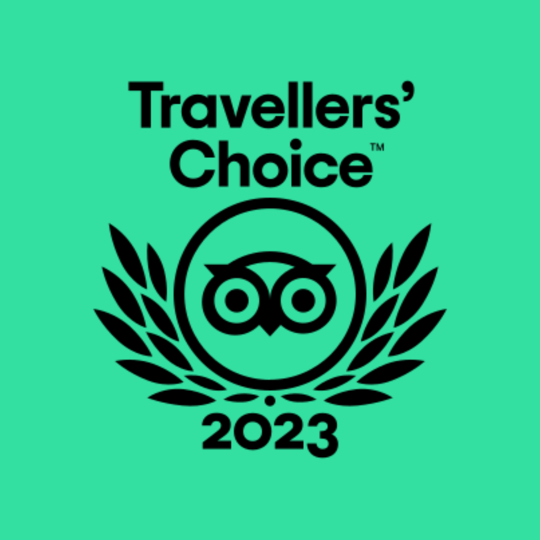 2023 TripAdvisor.png