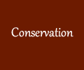 Conservation.fw.png