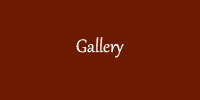 Gallery.fw.png