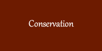 Conservation.fw.png