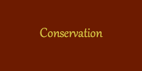 Conservation effect.fw.png