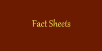 Factsheets effect.fw.png