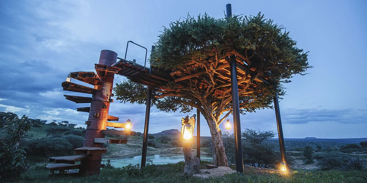 Ol Malo House - Sleep outs at the treehouse.jpg