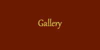 Gallery effect.fw.png