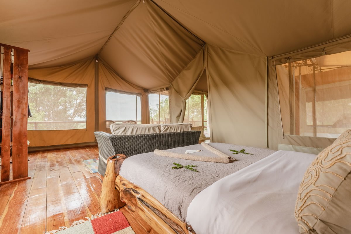 Tangulia Mara - Family Tent, Double 2023.jpg
