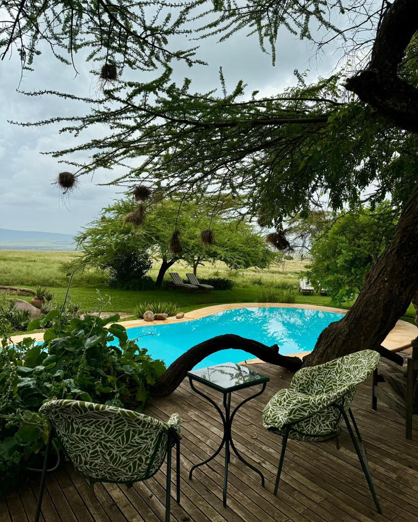 All the recent rains have left many parts of Kenya a vibrant shade of green. @lewa_house is in full bloom and looking like an oasis of calm and relaxation. Perfect for a Sunday &lsquo;chill&rsquo; session.

📸 @lewa_house 
📧 bookings@bush-and-beyond