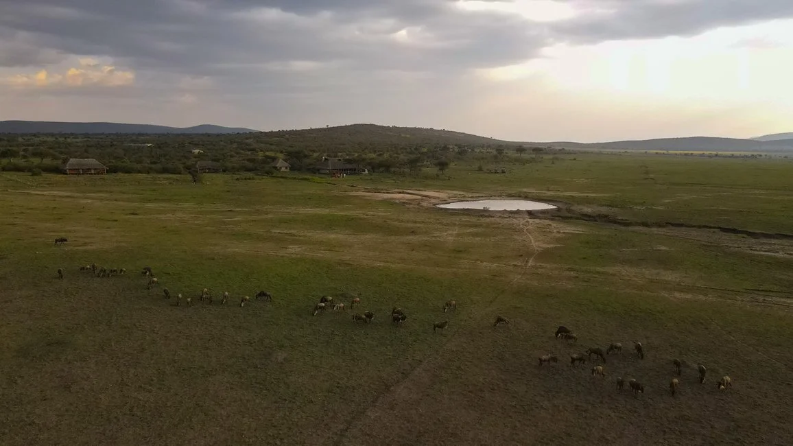DJI_0033.jpg