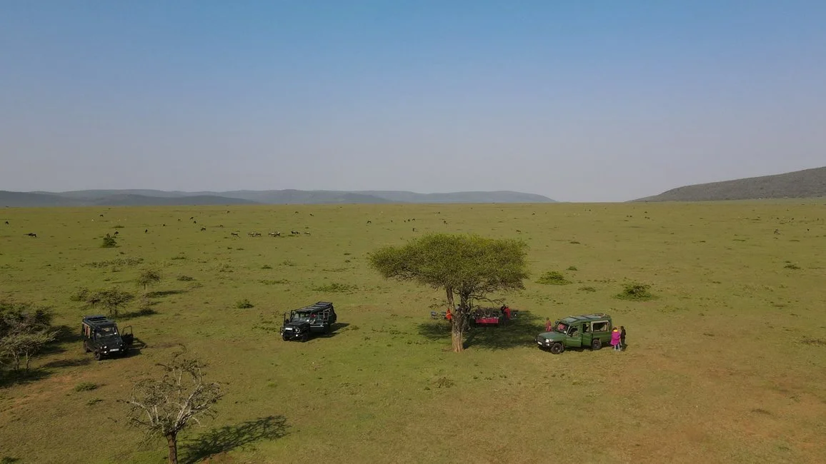 DJI_0080.jpg