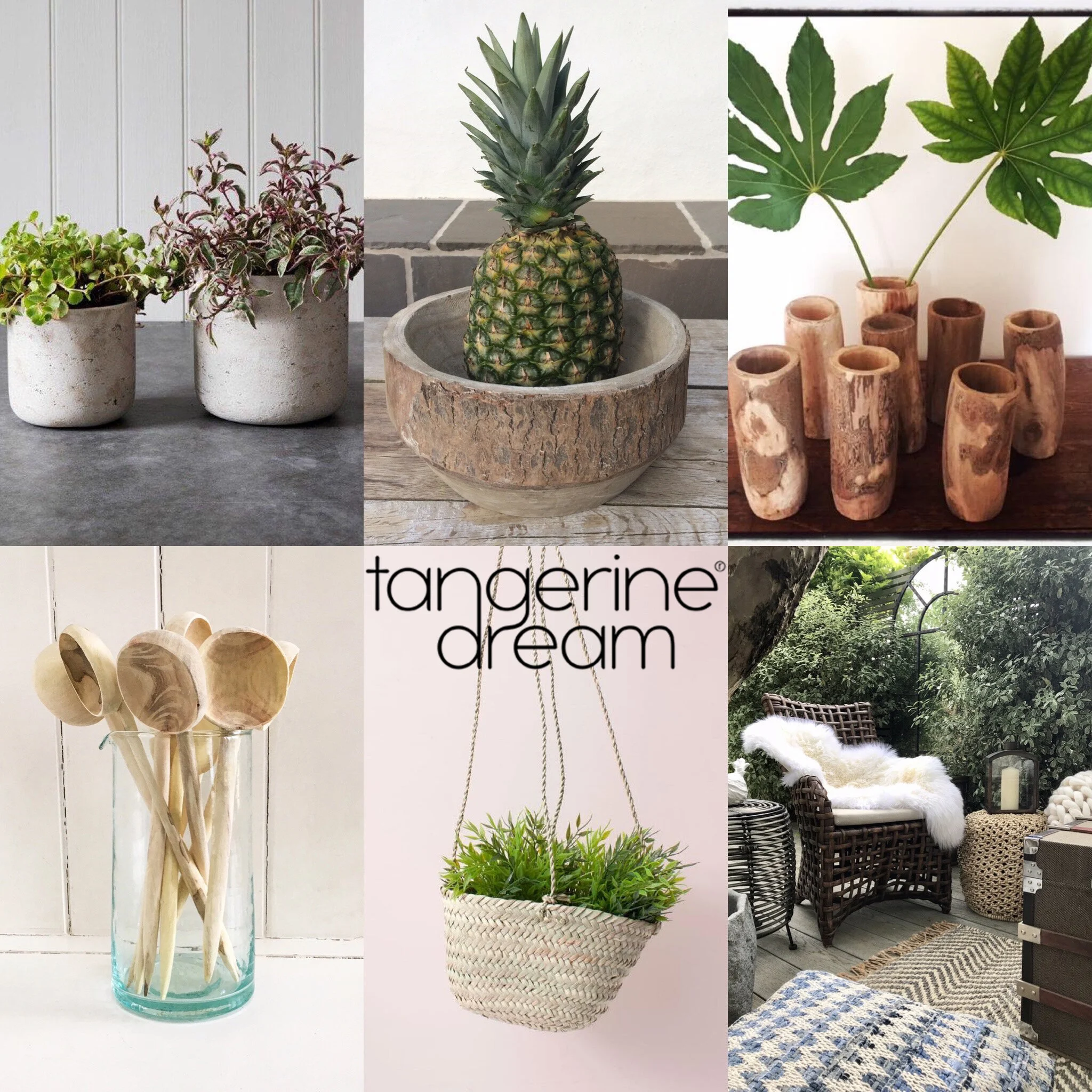 Amazing selection of stylish and unusual present ideas. 