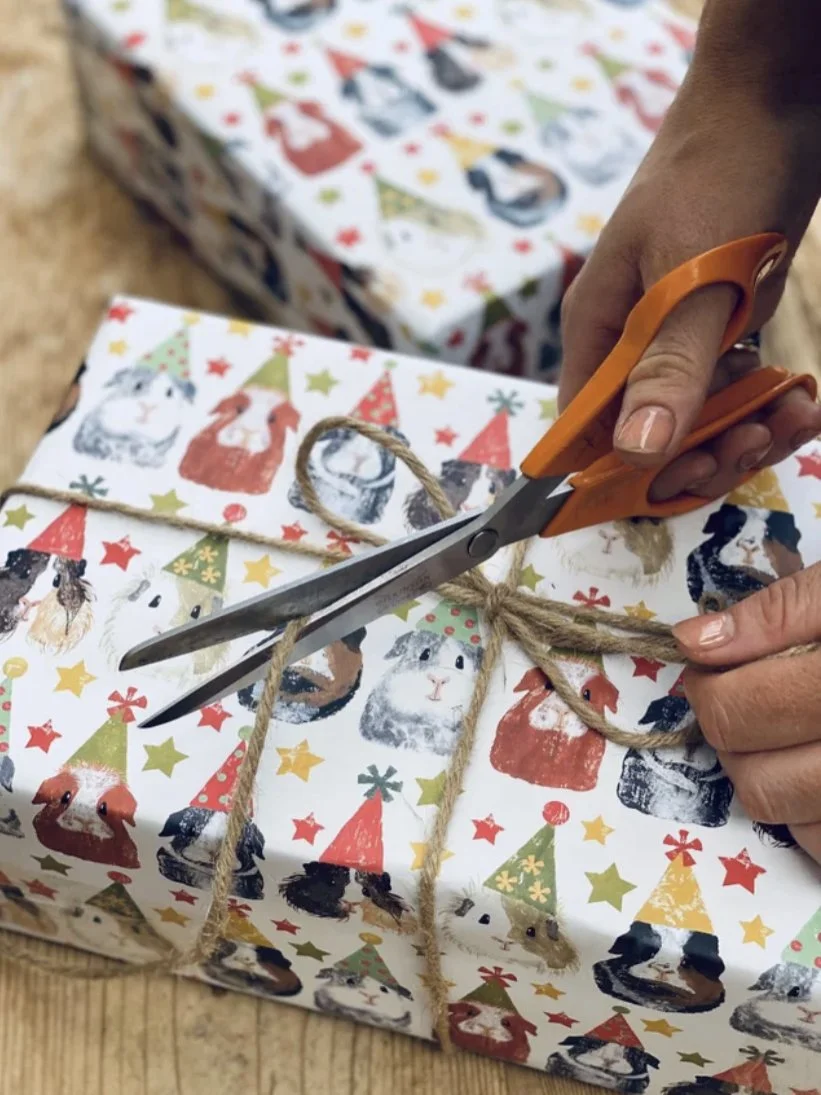 Cards, wrapping paper and tags from Izzi Rainey designed in Norfolk