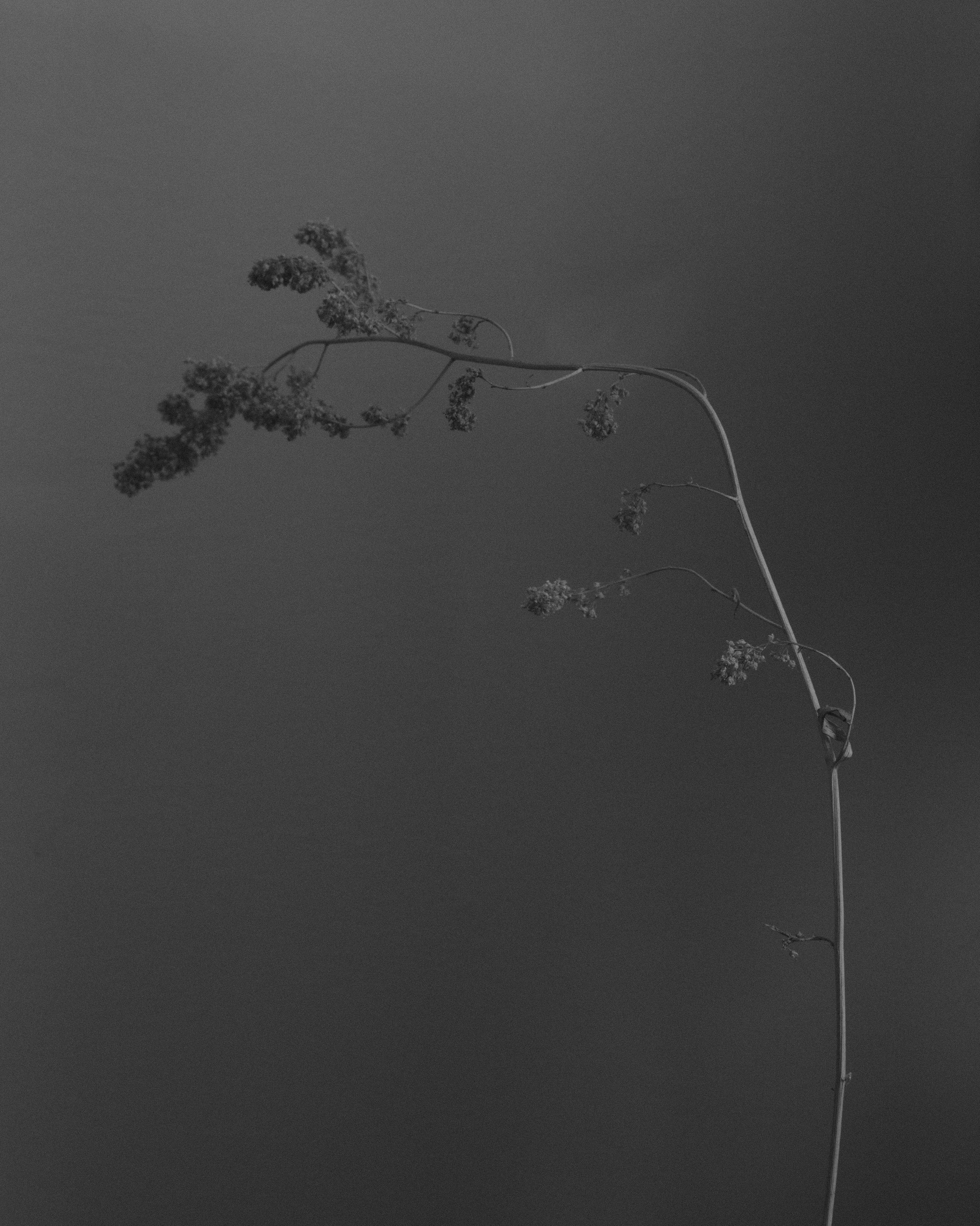_DSF8781_1_1.jpg