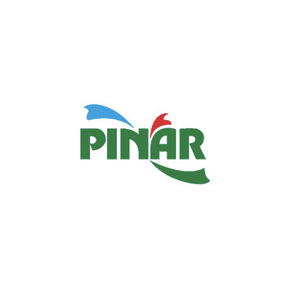 Pinar.png