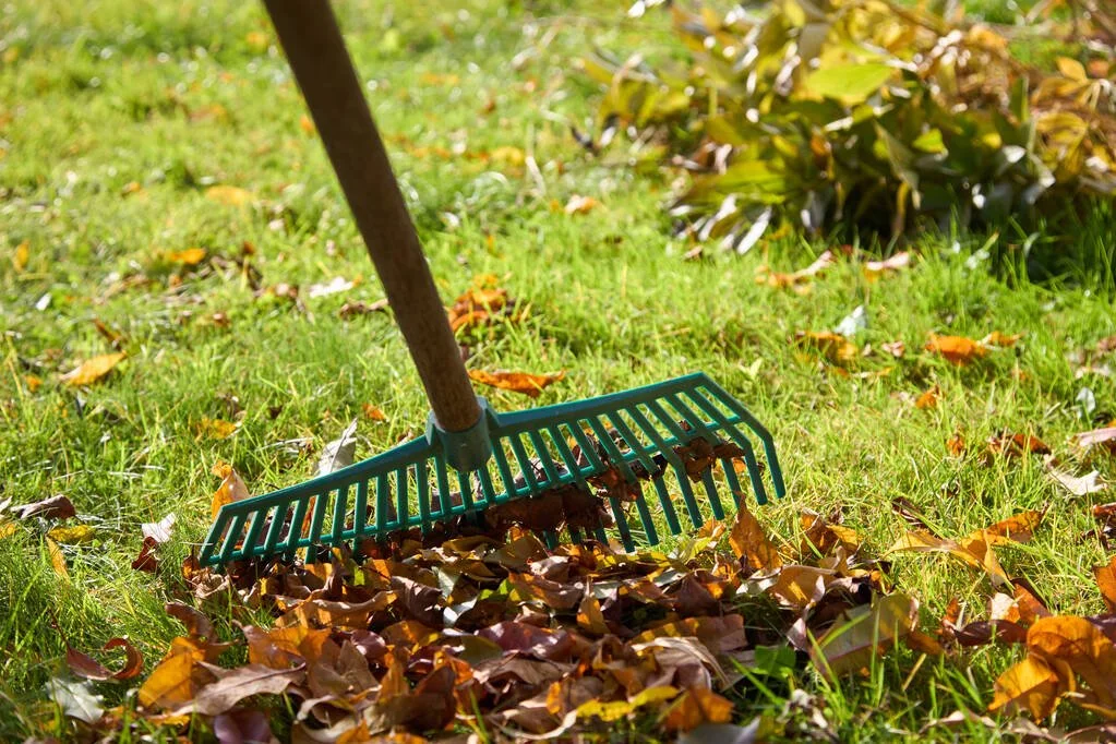 Church Back Yard clean-up morning