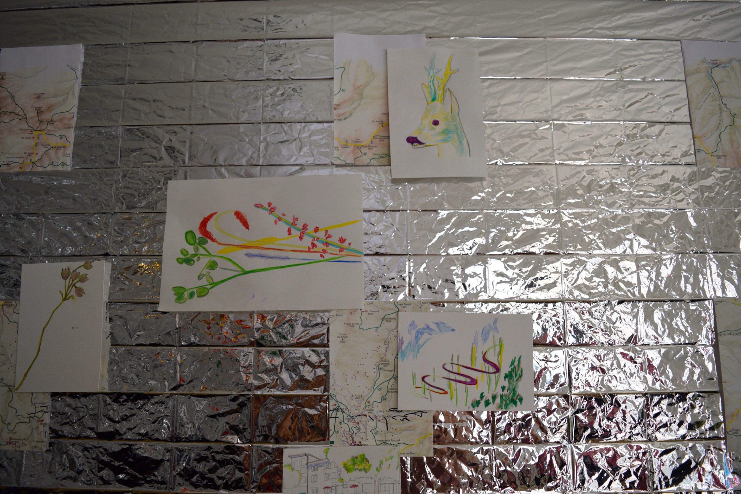 DSC_0007 - Version 2.JPG