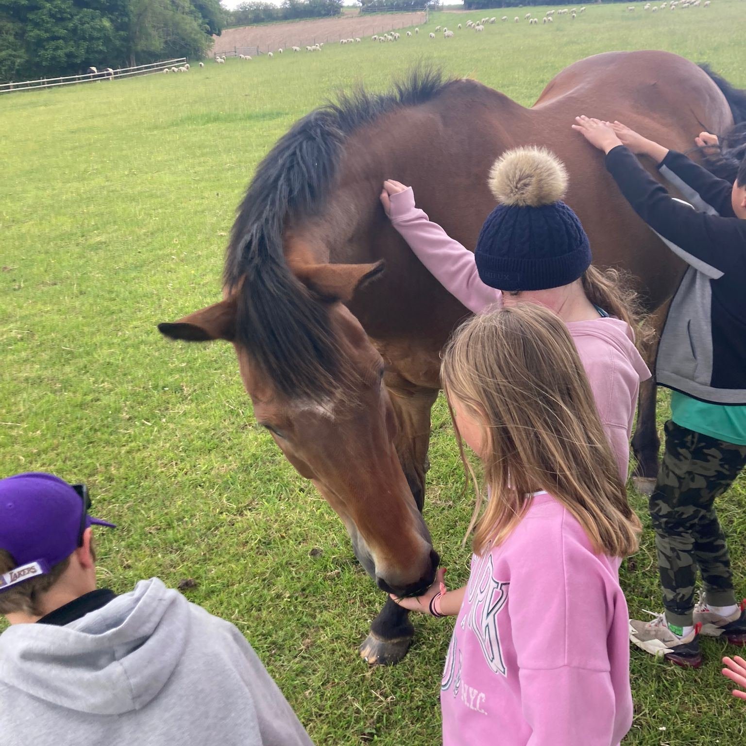 Easter holidays are in full swing with lots of guests escaping the hustle and bustle with a group stay at Great Hagley.