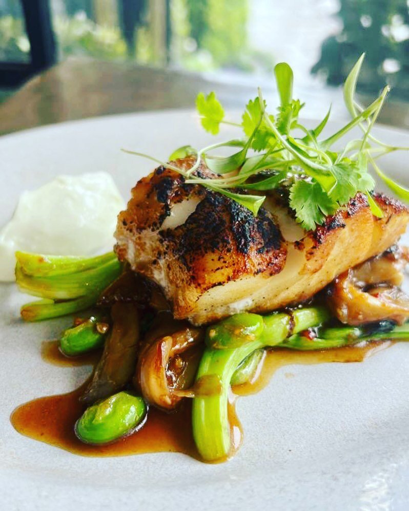 Landing very soon - Miso cod,
Stir fry of choi sum, oyster mushrooms and edamame, wasabi mayo and oyster sauce 🇯🇵

#tavern #misicod #henley #henleyonthames #sonning #oxfordshire #japanese