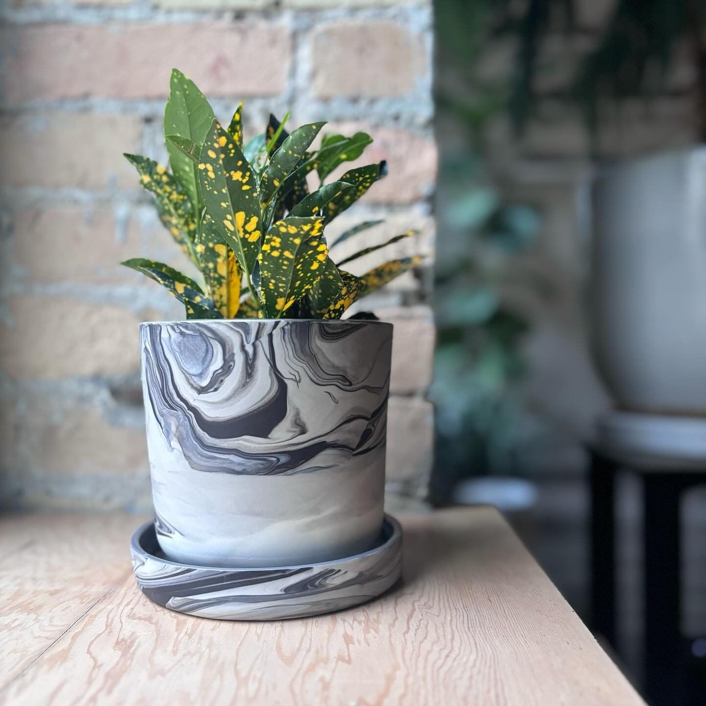 When two of my (non human) loves come together.. 
plants + pottery 😍🪴💫 

🌱My redesigned planter will be available on my website for the first time this Thursday May 2nd at 11am. 🌱Perfect gift to a Momma out there, or yourself! It is a slight ste