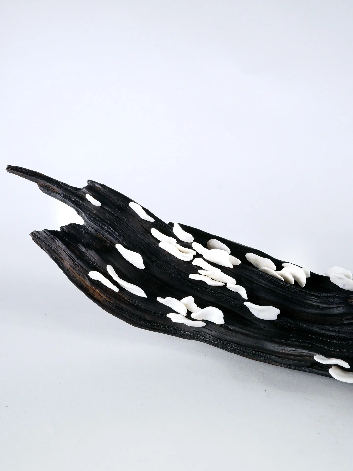 A few stills of &lsquo;Drift&rsquo;. A new piece from the group show Ondulations currently up @maisondesartistes. 

#contemporaryceramics#ceramicsculpture#mixedmedia#winnipegart