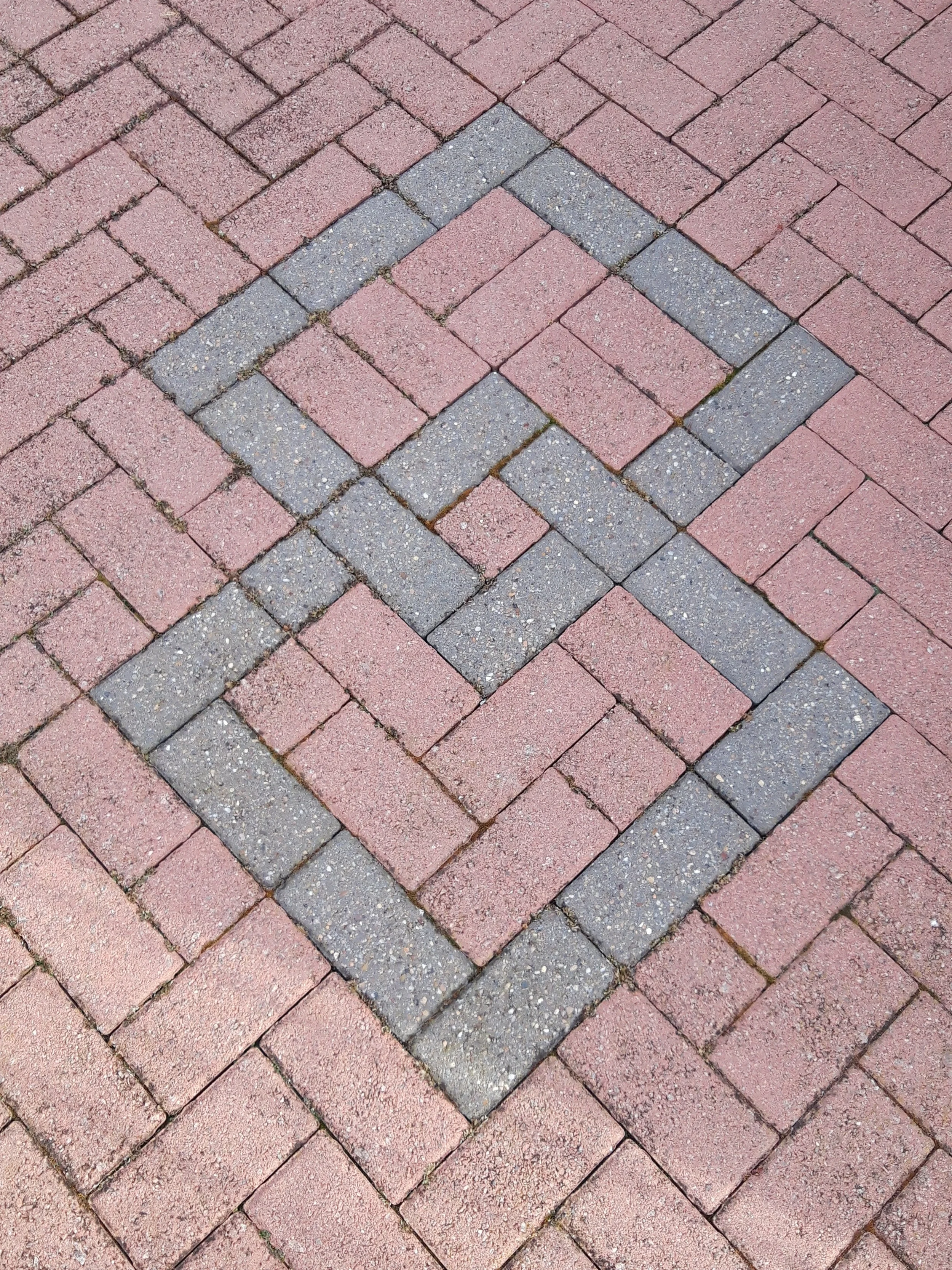 20190821_085427.jpg
