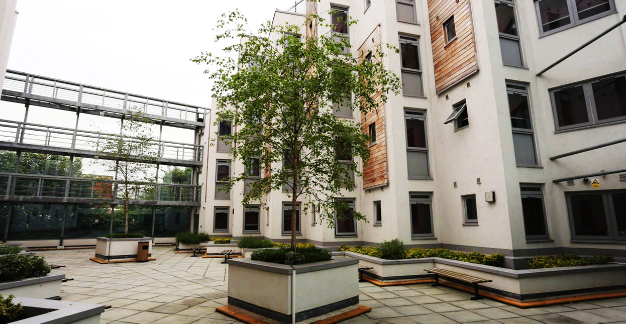 3. Quebec House 5.png