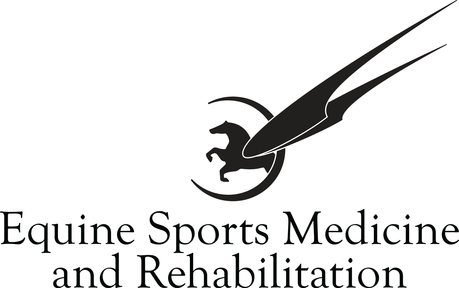 Equine Sports Medicine and Rehabilitation