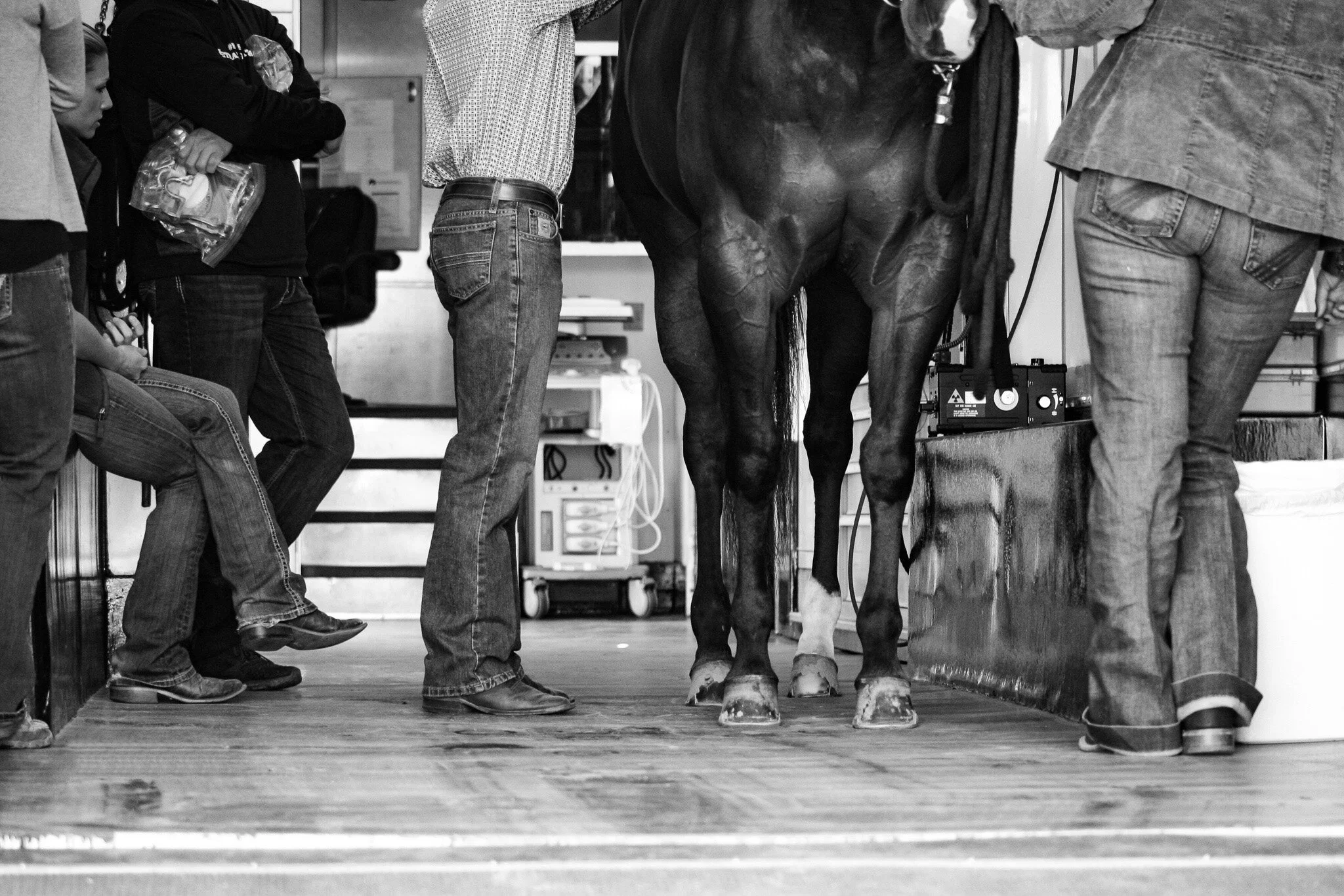 About 1 — Equine Sports Medicine and Rehabilitation