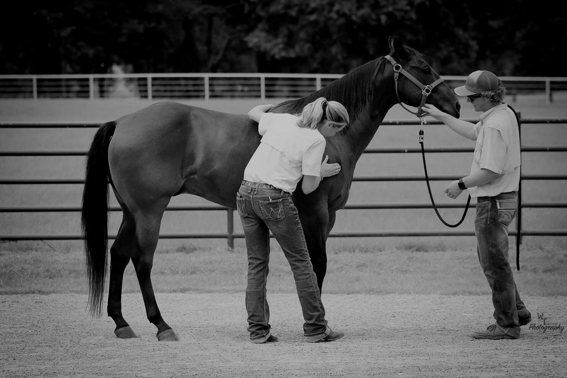 Contact Us — Equine Sports Medicine and Rehabilitation