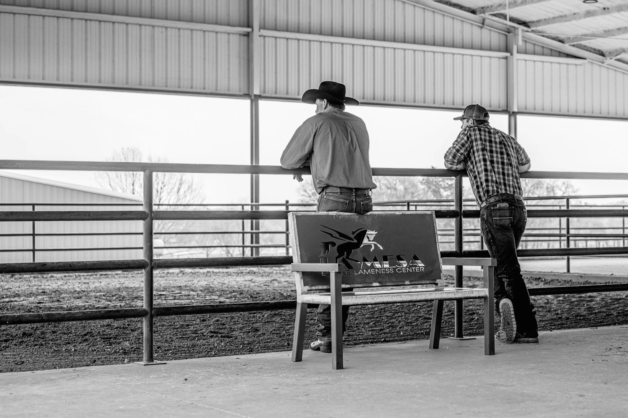 Equine Sports Medicine & Rehabilitation veterinary team working with performance horses and training future equine veterinary professionals.